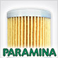 Дополнения Paramina